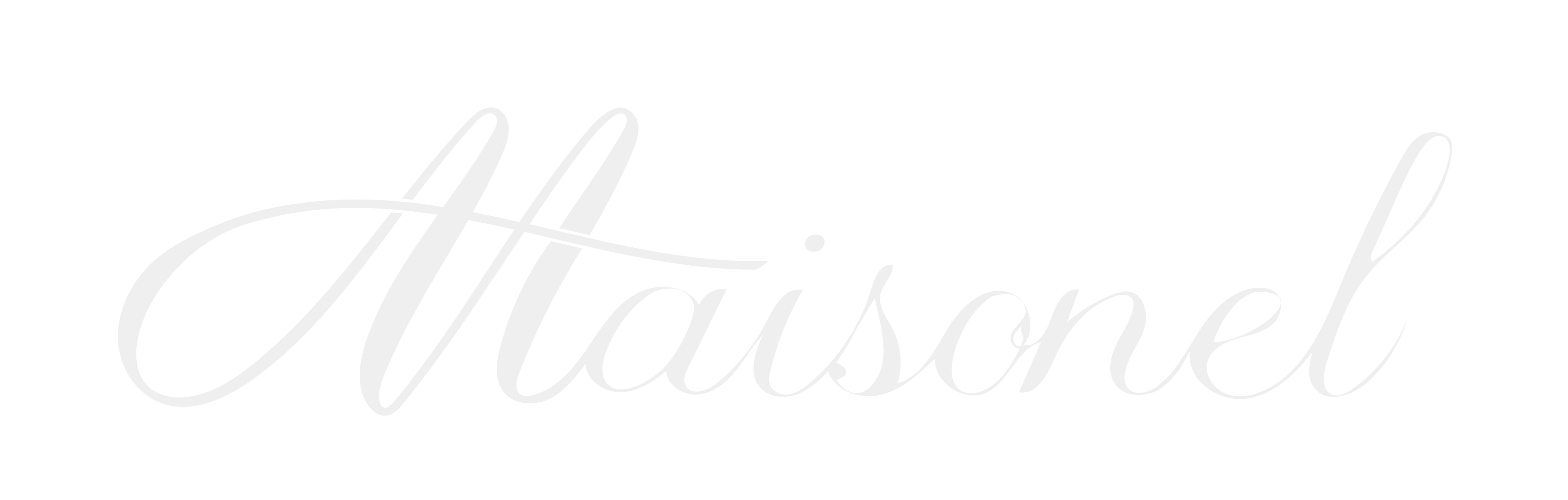 My Store